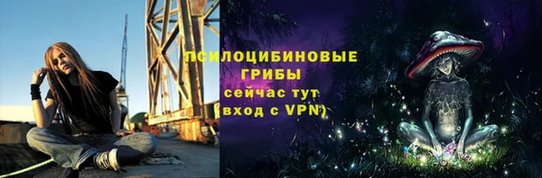 стафф Алзамай