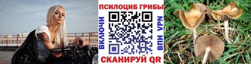 Псилоцибиновые грибы Magic Shrooms  Куса 